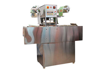 Fully Automatic Chain Drive Sealing & Cutting Machine